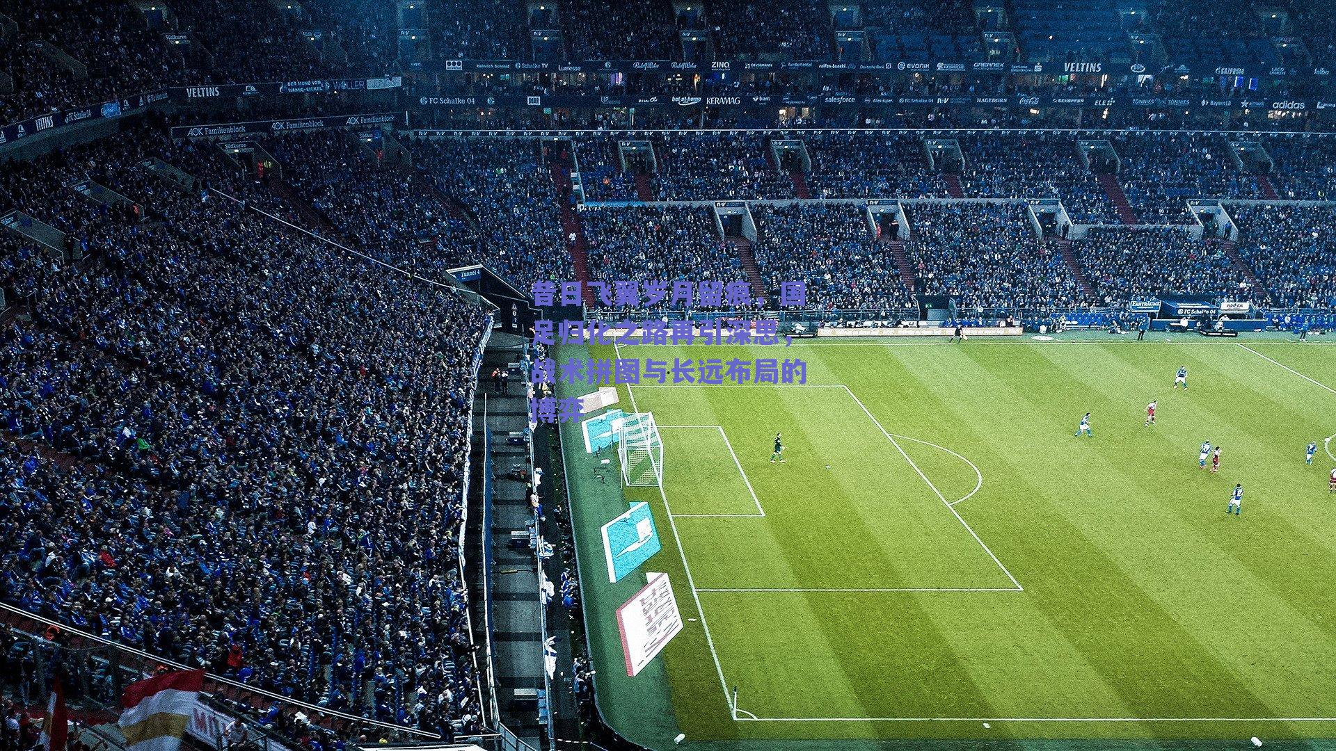 昔日飞翼岁月留痕，国足归化之路再引深思，战术拼图与长远布局的博弈